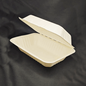 Bagasse Food Container