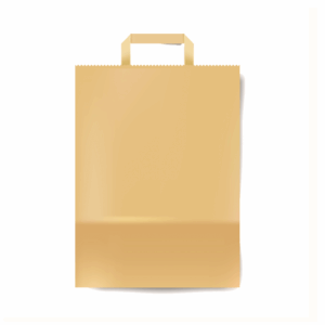 Flat Handle Paper Bag