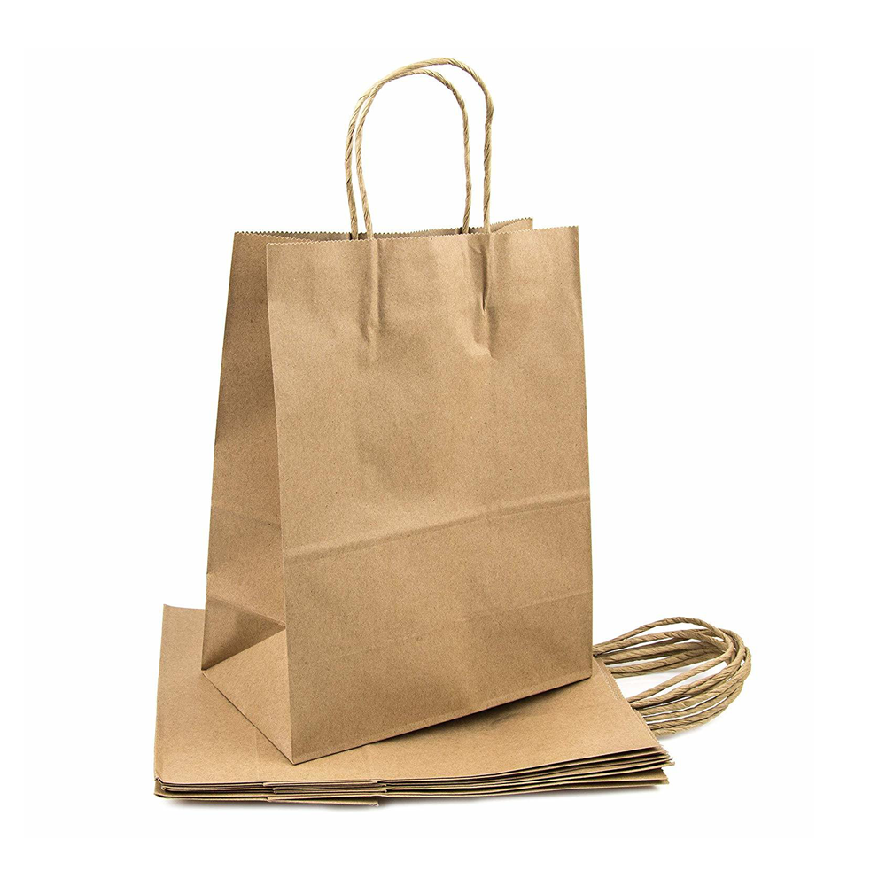 Twisted Handle Brown Paper Bag